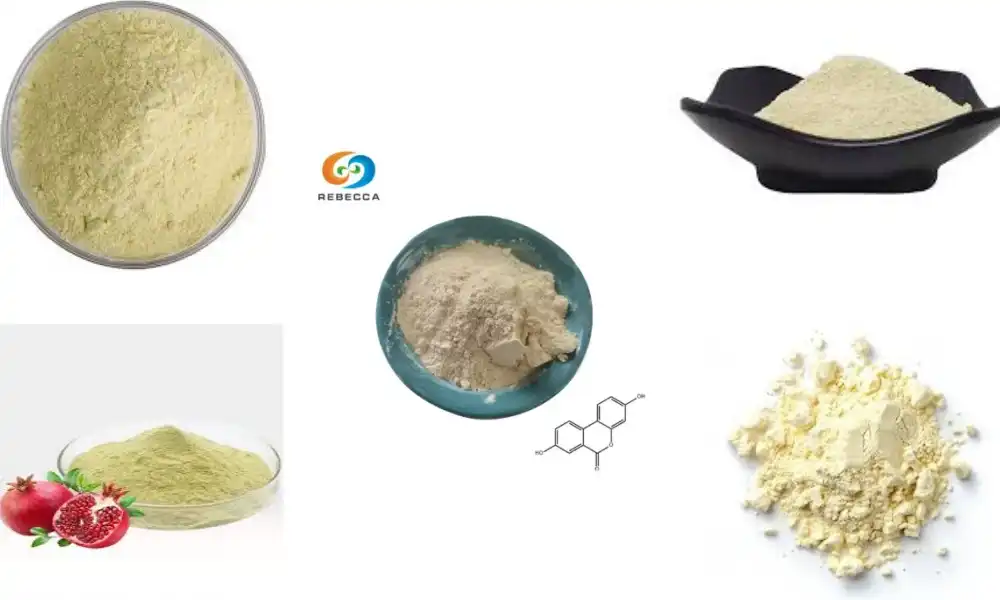How should Powder of Urolithin A powder be stored?